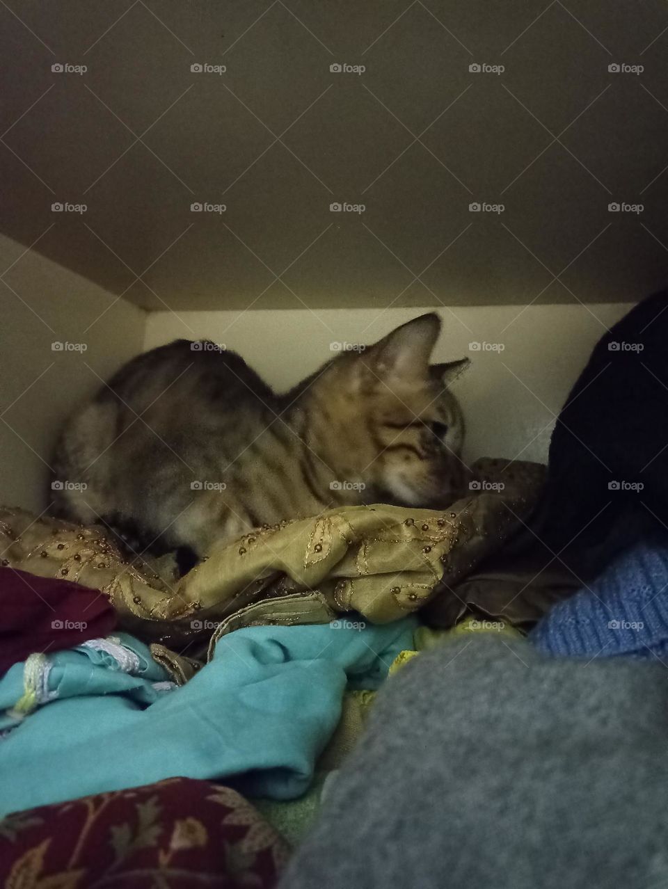 I don't want to talk you