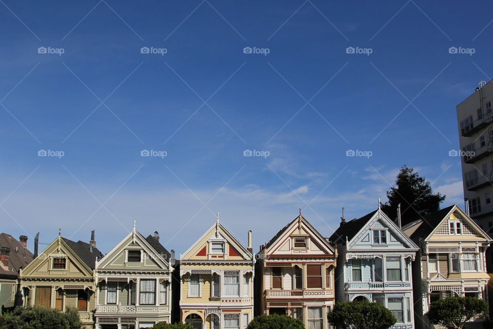 Painted ladies 