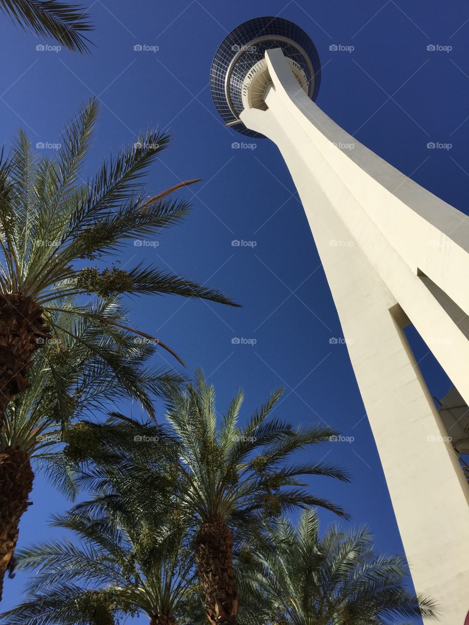 Stratosphere tower hotel
