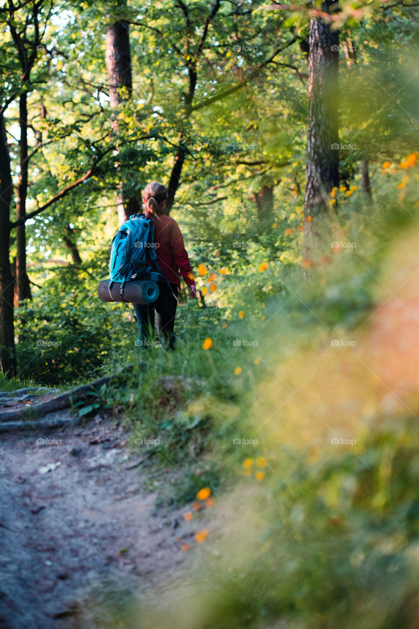 Young woman hiker with backpack walking along the path through the forest during summer vacation trip