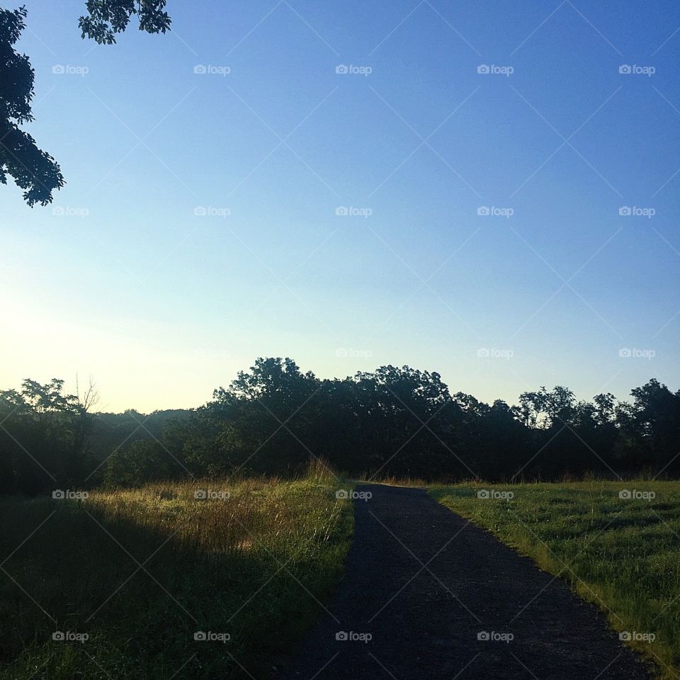 Our early this AM to run next to the farm 