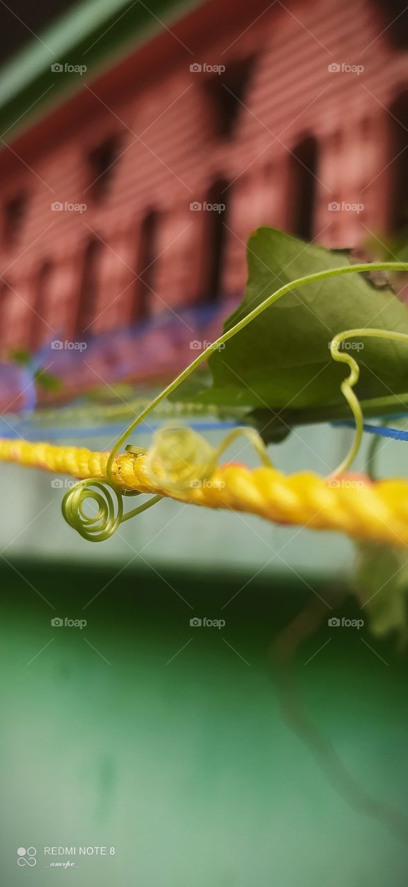 Sticking my hands out to hold you...twirl myslef of on you...stay with you... be there for me