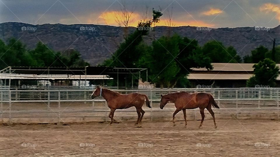 sunset ranch