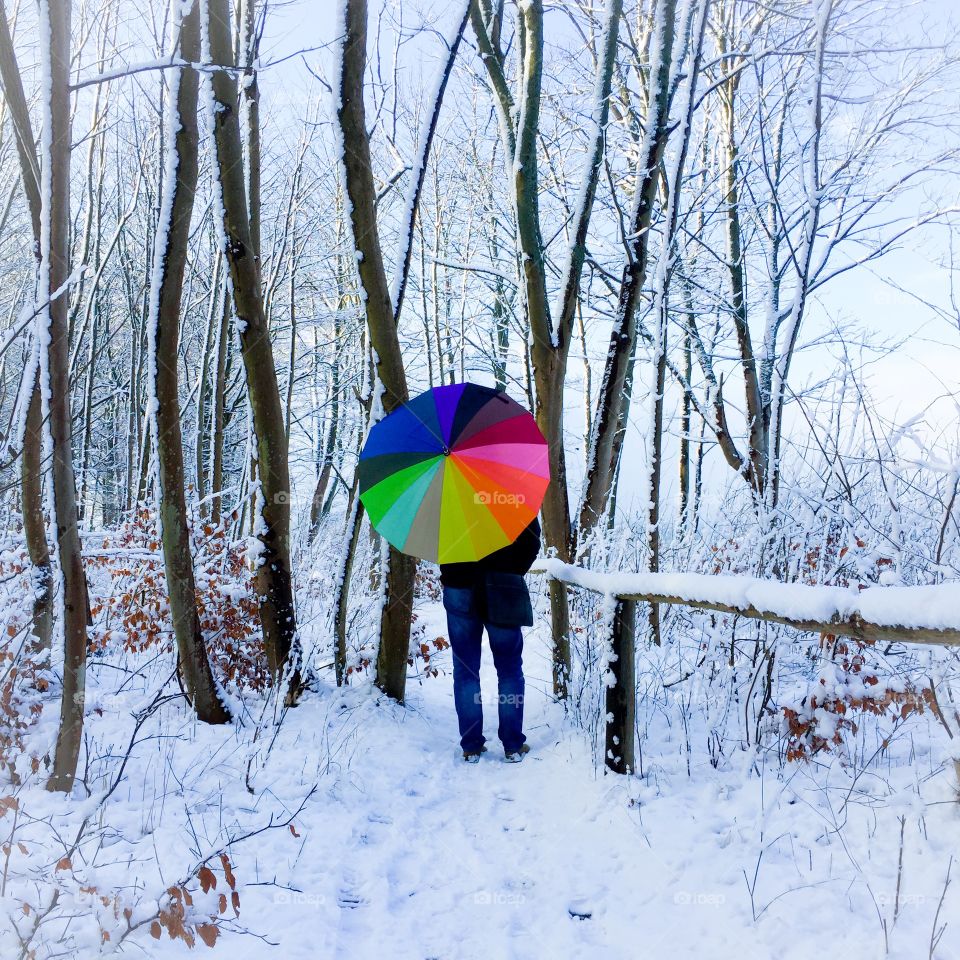 Man in forest with umbrella in winter