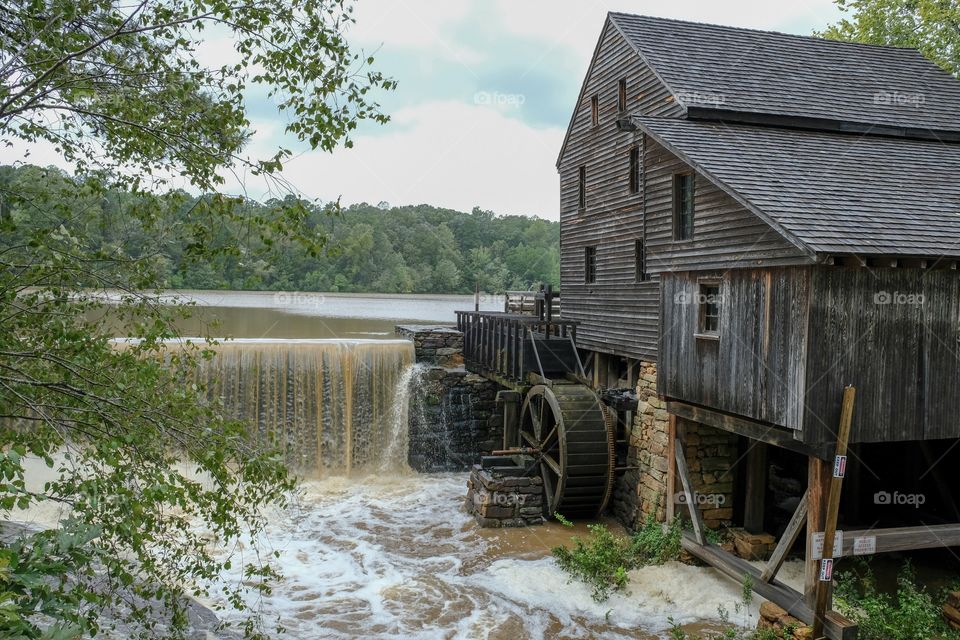 Muddy flood waters from Hurricane (or presently Tropical Storm) Florence gush over the waterfall while the old gristmill still stand strong. Historic Yates Mill County Park in Raleigh North Carolina. 