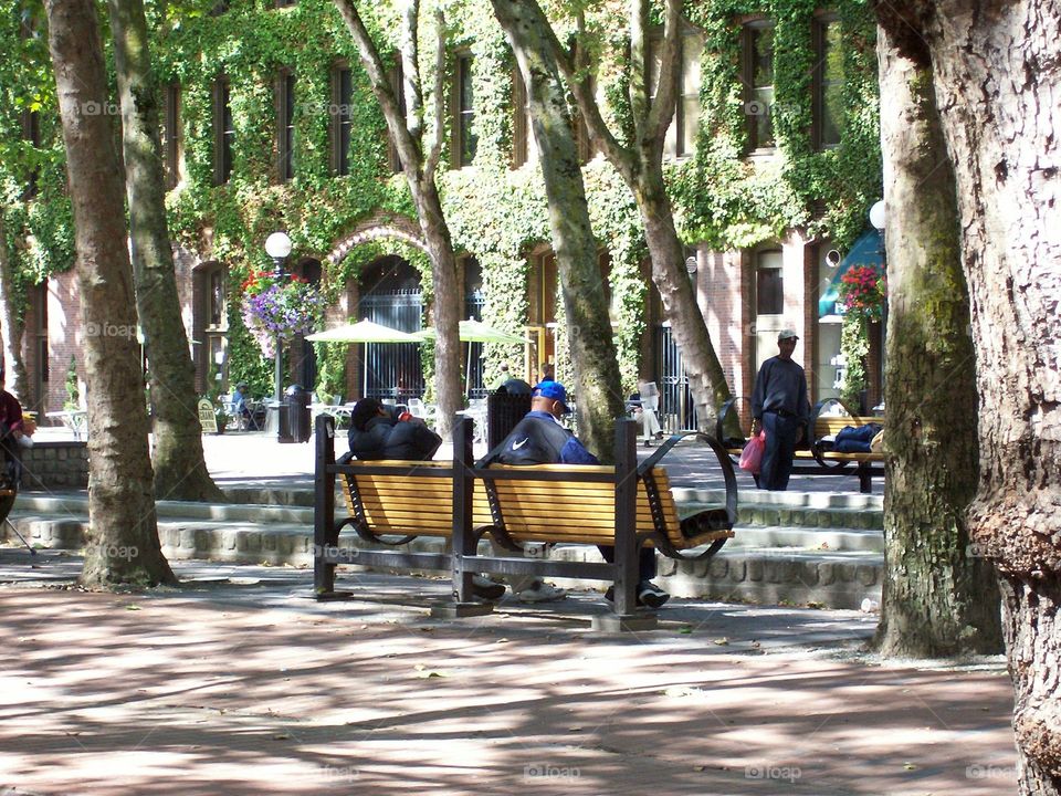 bench in the park with people