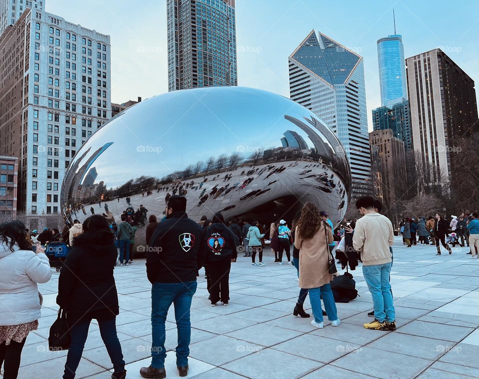 The bean