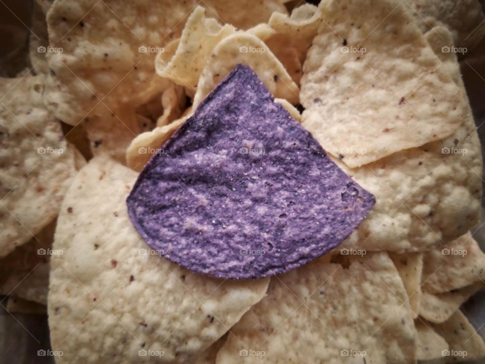 The Only Purple Corn Tortilla Chip in a Pile of White Corn Tortilla Chips