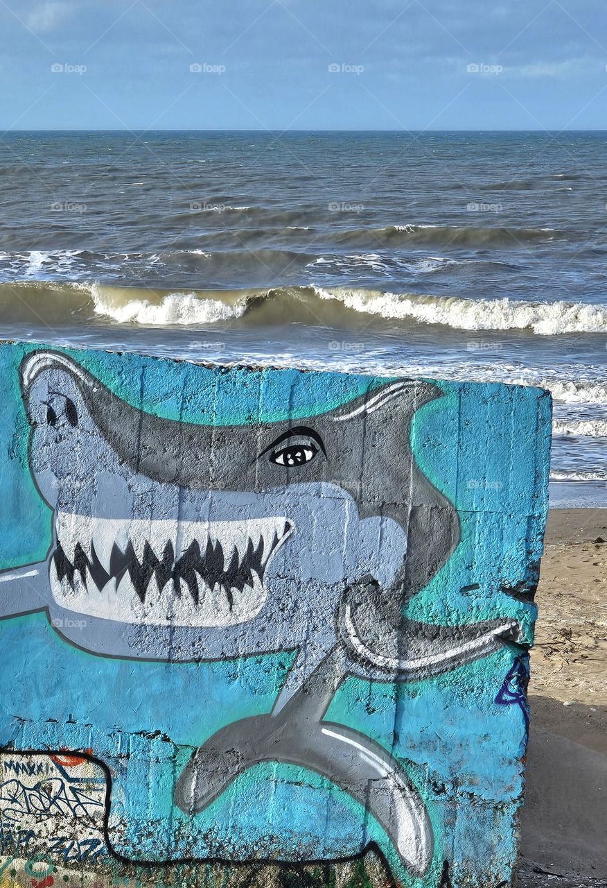 shark on the beach