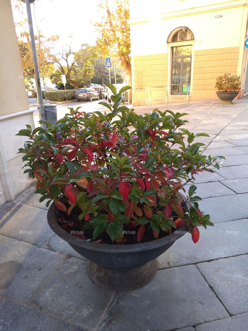 Best of 2021: Nature