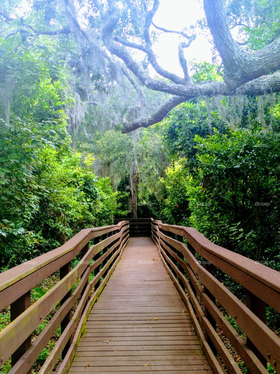 Nature at its finest...