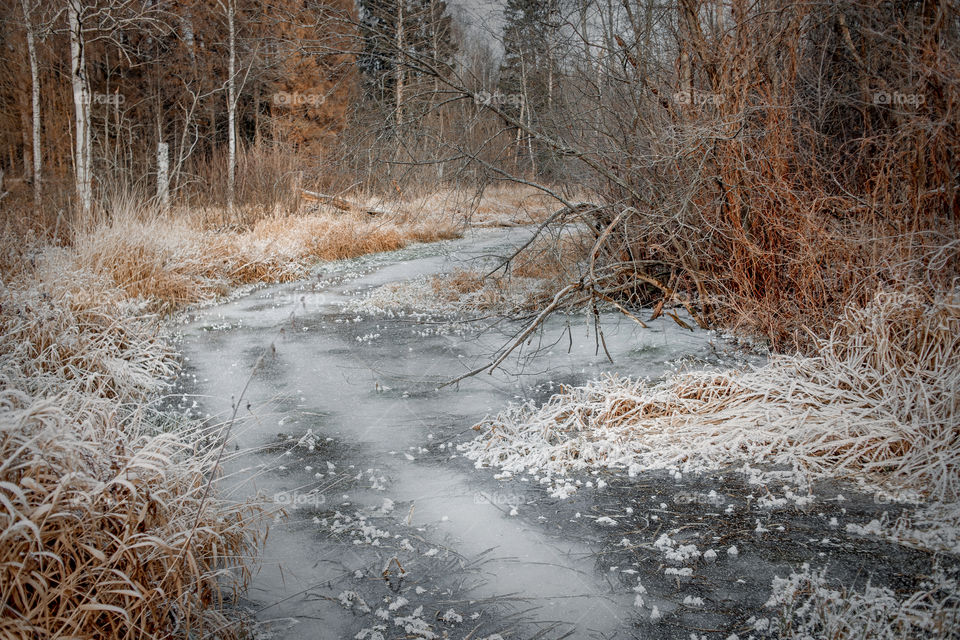 Winter landscape with river 