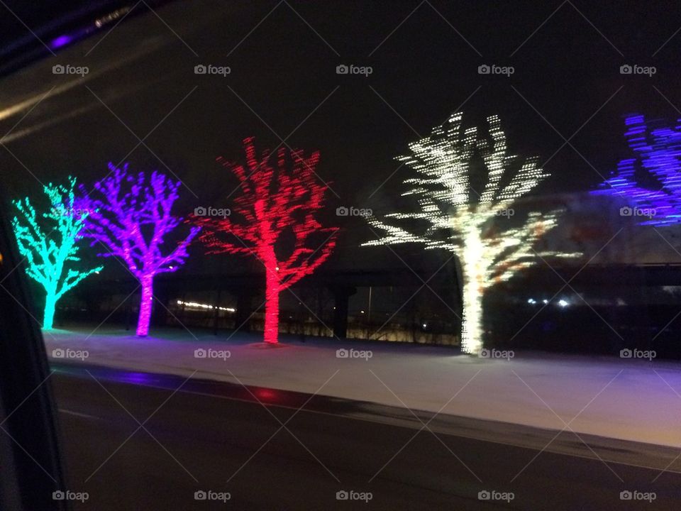 Tree lights 