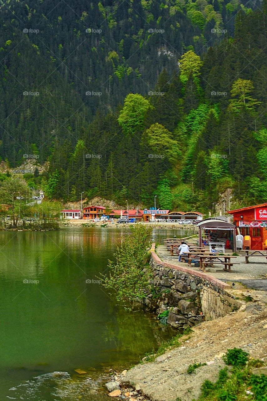 Forest uzungöl