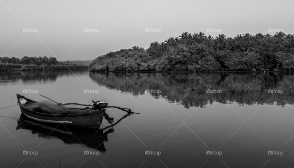 serene landscape in monochrome