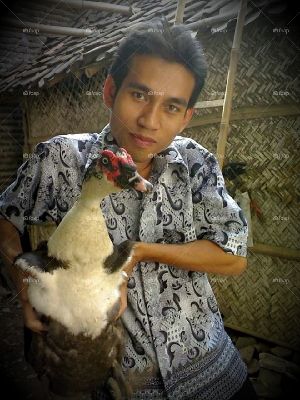 Celebrating Holiday with pet
This duck is my lovely pet that every day play with me.
@saifur.rasi