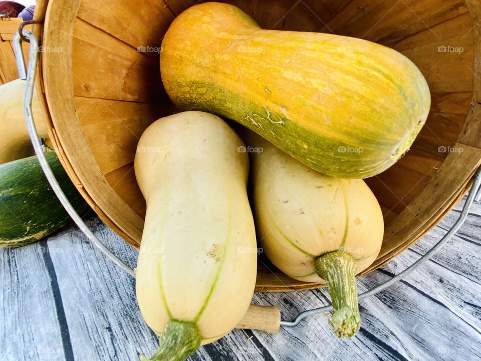 Butternut squash and harvest time