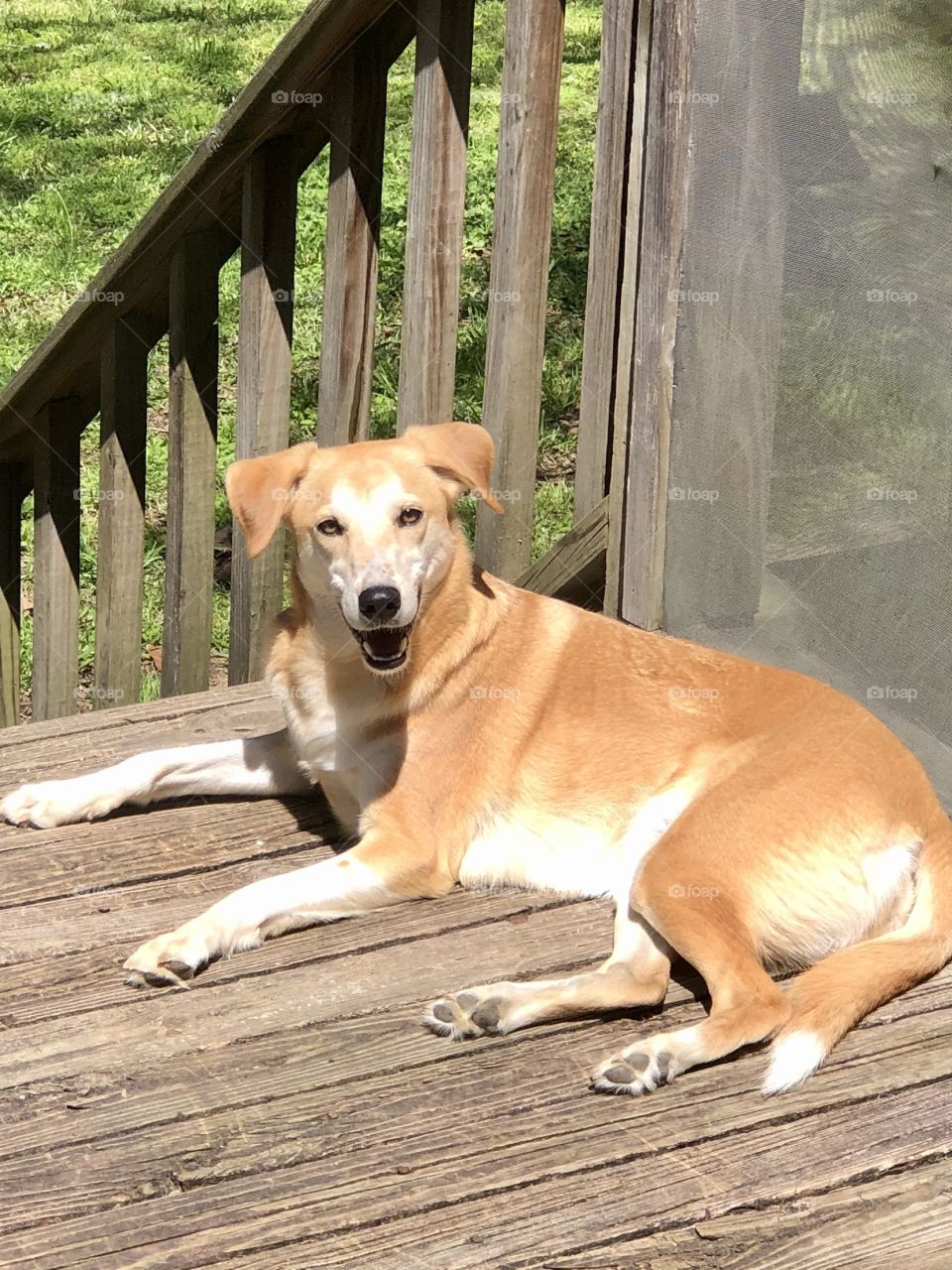 Pleasantly surprised and happy