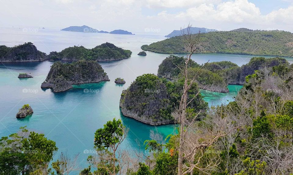 "The Islands".....
#Raja Ampat....
#West Papua