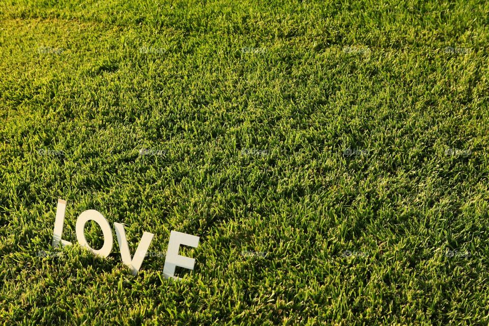 Love lettering on green grass