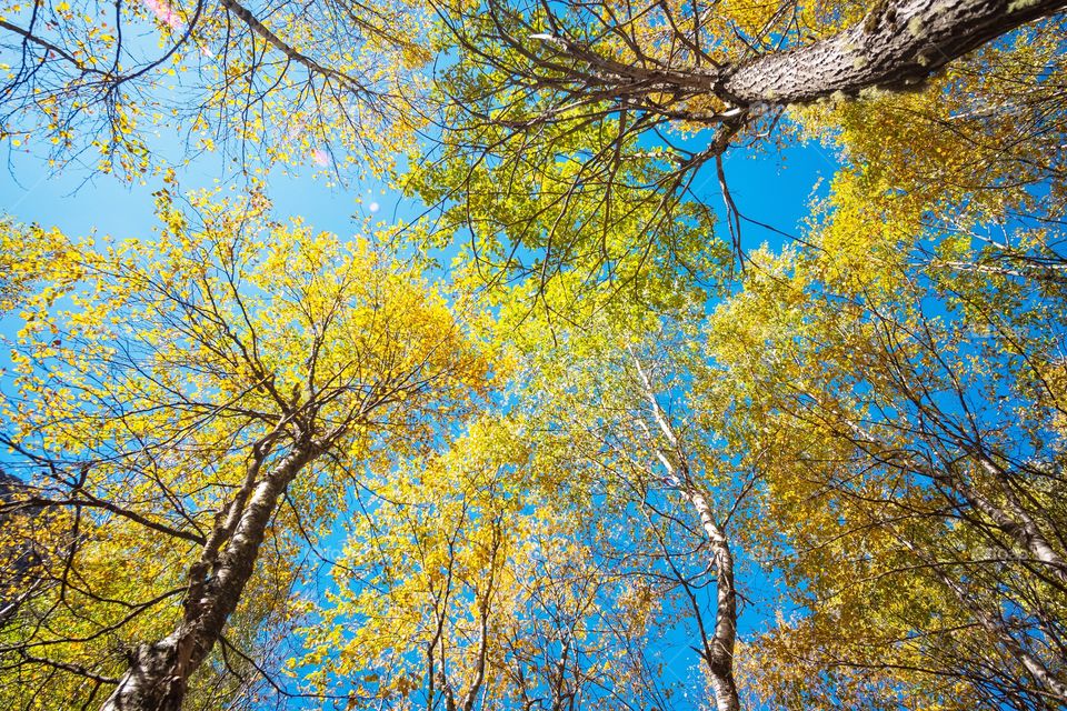 Beautiful landscape in autumn at Georgia