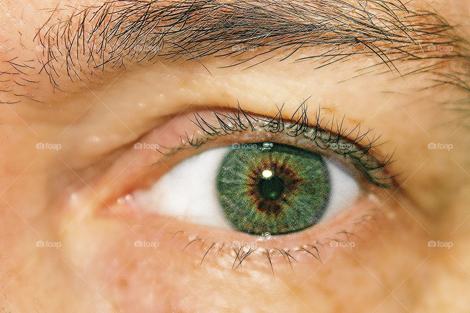 Detail of human eye