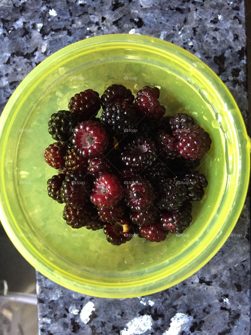 Blackberries in yellow bowl on granite