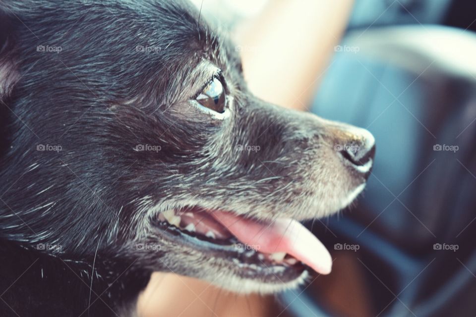 beautiful brown eyes 👀 