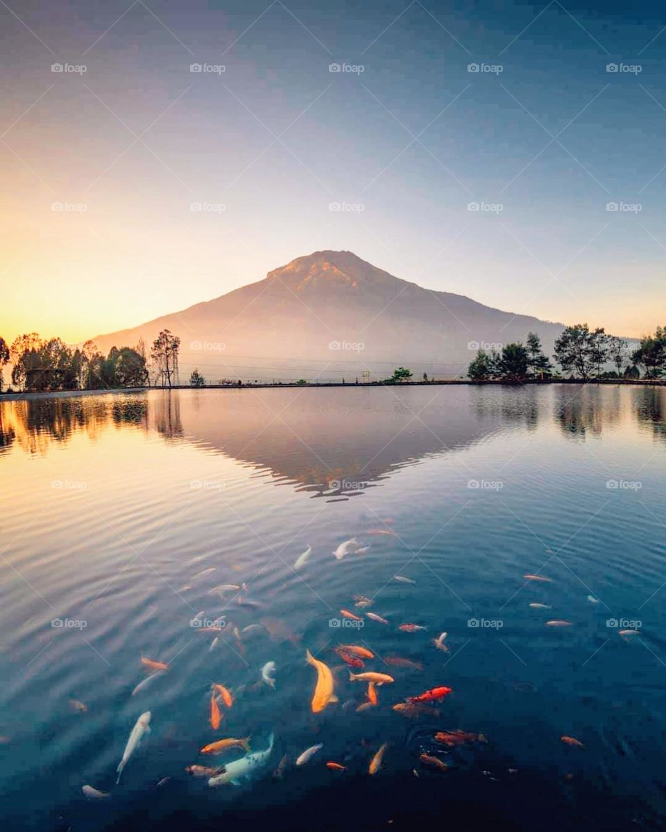 indonesian java mountain