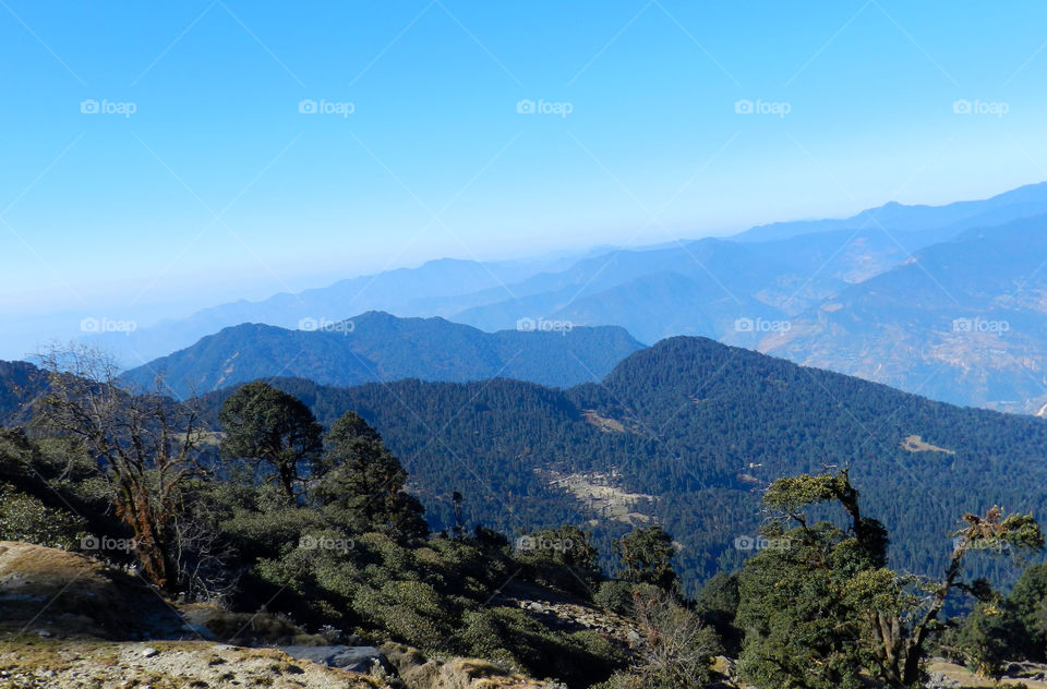 chopta valley