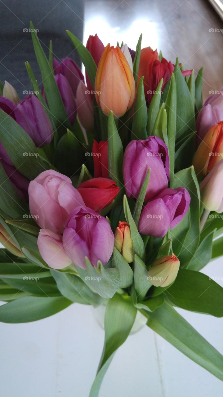 bunch of colorful tulips