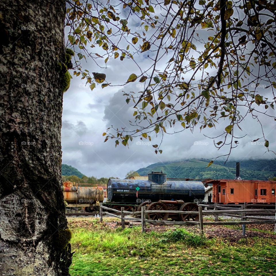 Train graveyard, it’s so peaceful to look at. 