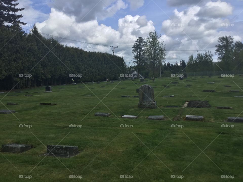 Tombstones in the Cemetery 