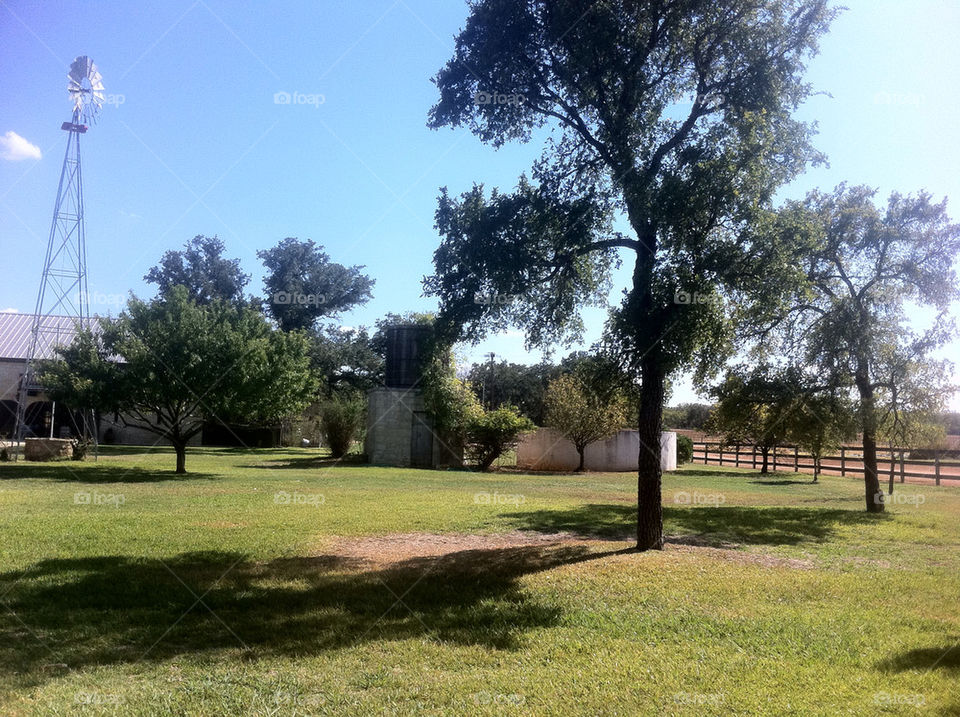 green grass tree fall by hannurb