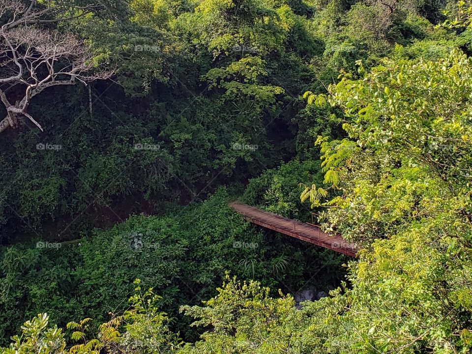 Mneso Bridge at Moshi Rural. 

June 15, 2023
09:42am