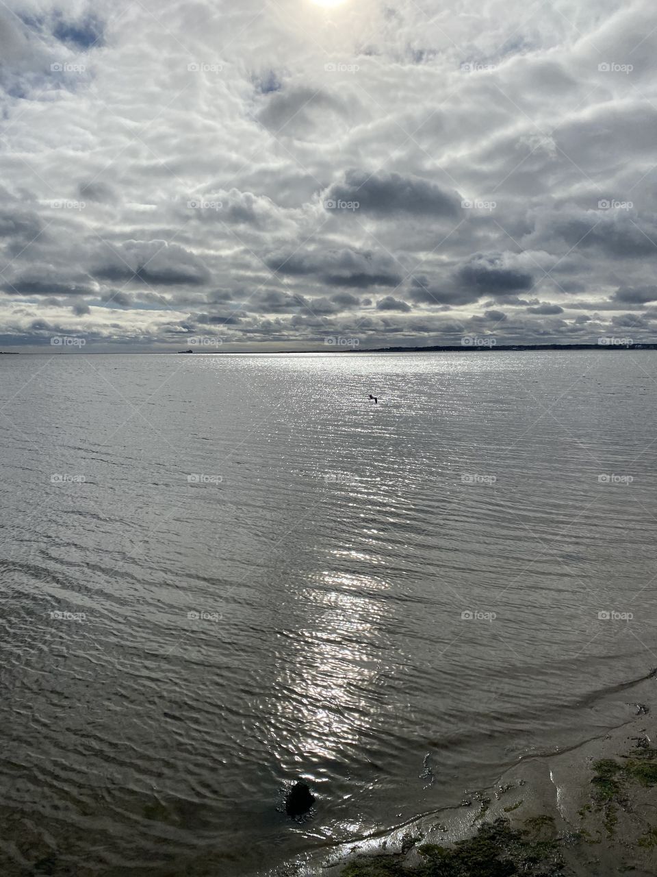 Twilight on Lewis Bay, Cape Cod