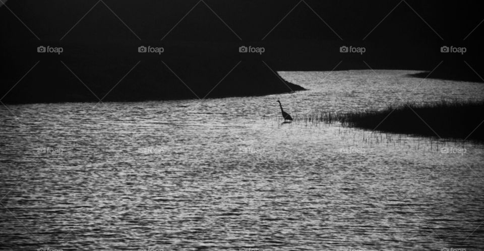 Serene night at rodeo beach