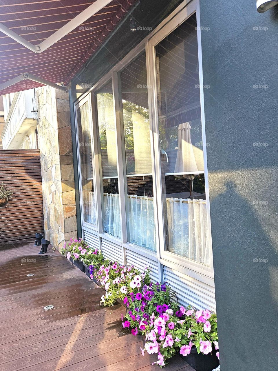 Walls and light and shadow