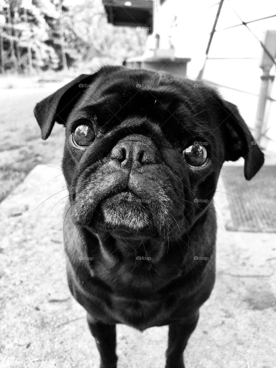 Hey whatcha got there