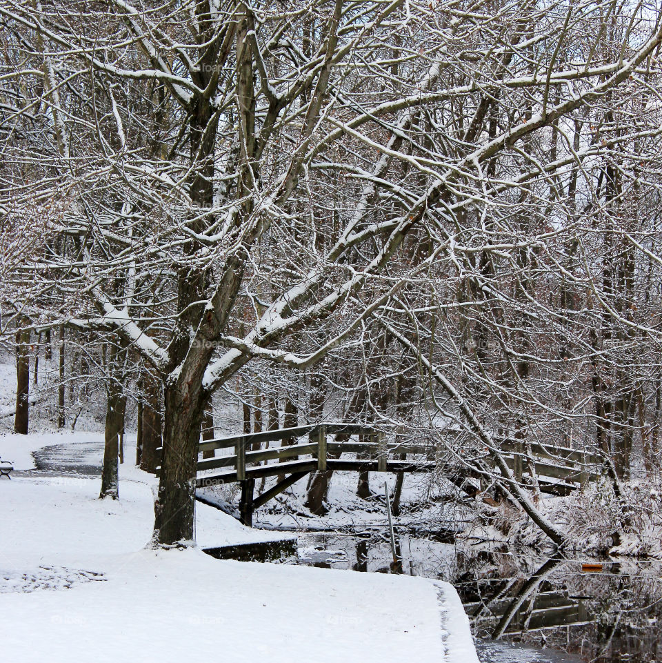 Winter Wonderland after the first snow