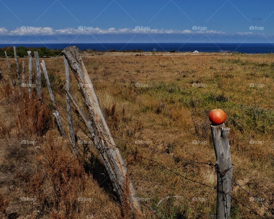 This shot was made down by Issik Kul lake in Kyrgyzstan.