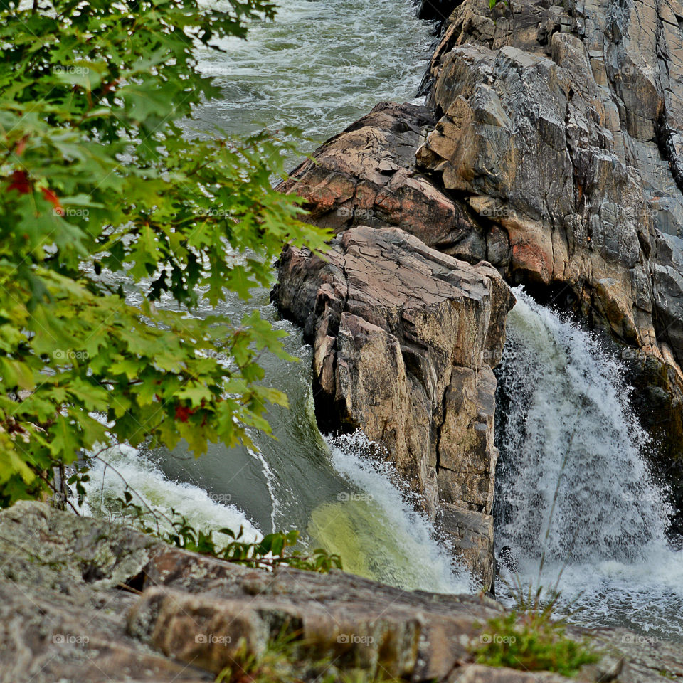 Water, Water, everywhere! I just happen to be fortunate enough to live in a state that has approximately 12,000 square miles of beautiful, refreshing, colorful oceans, rivers, lakes, ponds and swamps!