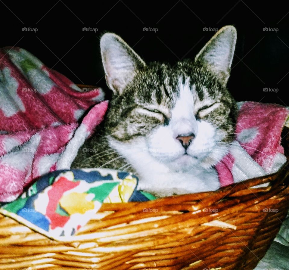 wake me up when it's over I say.