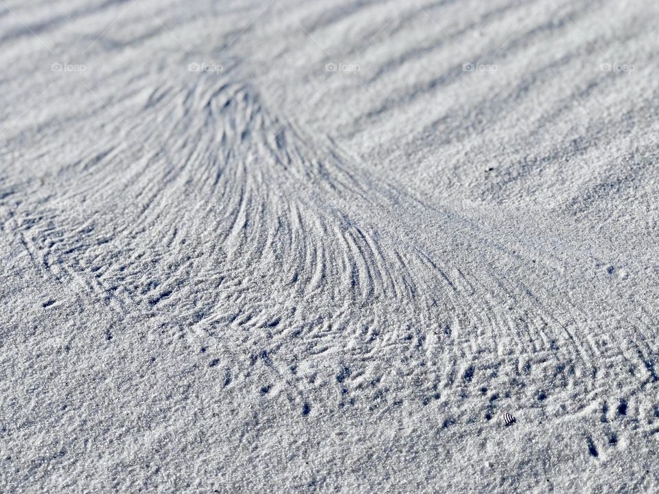 Delicate sand pattern of wind and seaoats