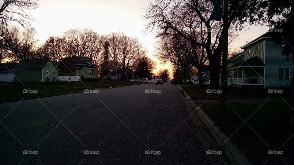 Street, Road, Tree, Home, Landscape