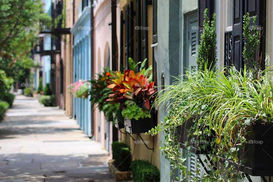 Colorful street 