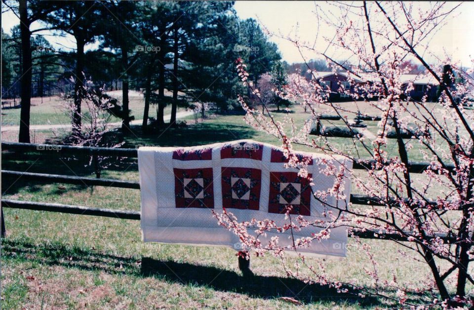 Fence and patchwork quilt