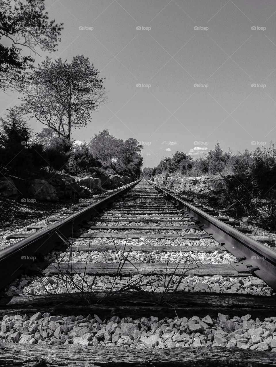 Old train track