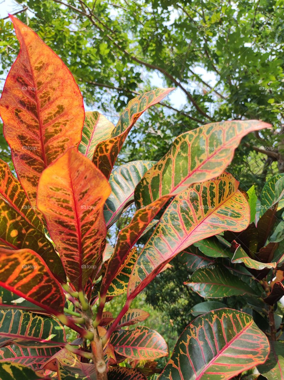 Part of beautiful nature around the corner