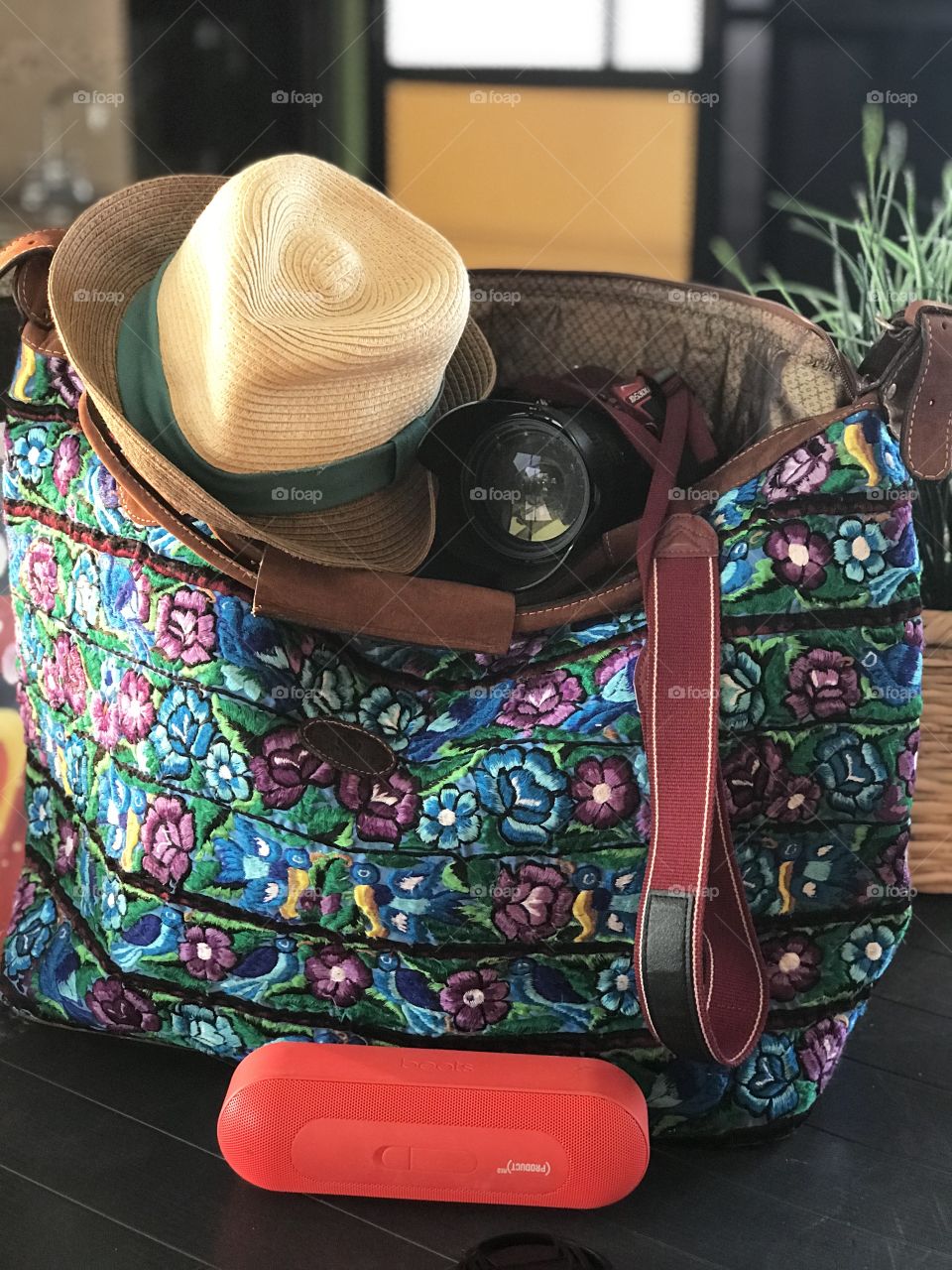 Luggage, Jaunt, Travel, Lid, Vacation